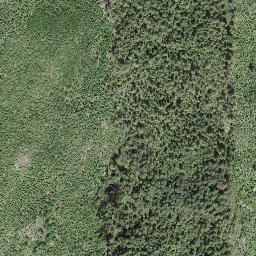 Satellite imagery of Mount Grice-Hutchinson, CA