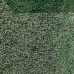 Satellite imagery of Mount Grice-Hutchinson, CA