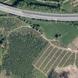 Satellite imagery of Wahlert, DE