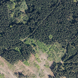 Satellite imagery of Rimmert, DE