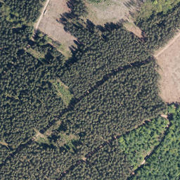 Satellite imagery of Rimmert, DE
