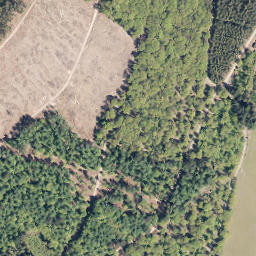 Satellite imagery of Rimmert, DE