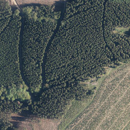 Satellite imagery of Stüvelhagen, DE