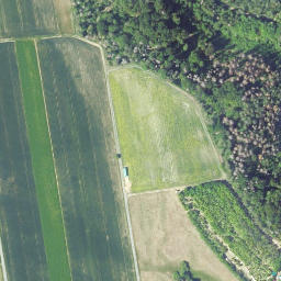 Satellite imagery of Lörenkopf, DE