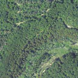 Satellite imagery of Erbelberg, DE