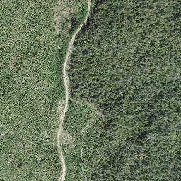 Satellite imagery of Mount Grice-Hutchinson, CA