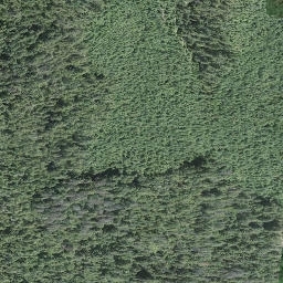 Satellite imagery of Mount Grice-Hutchinson, CA