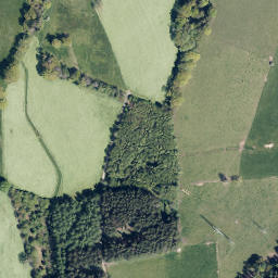 Satellite imagery of Vogelsang, DE
