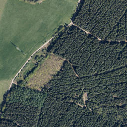 Satellite imagery of Vogelsang, DE