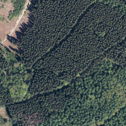 Satellite imagery of Wolfshorn, DE