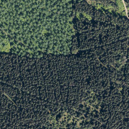 Satellite imagery of Wolfshorn, DE