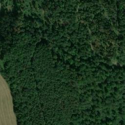 Satellite imagery of Lichteholz, DE