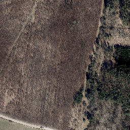 Satellite imagery of Mihlberg, DE