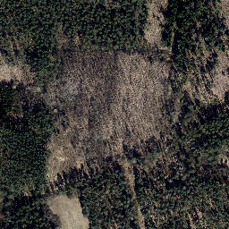 Satellite imagery of Mihlberg, DE