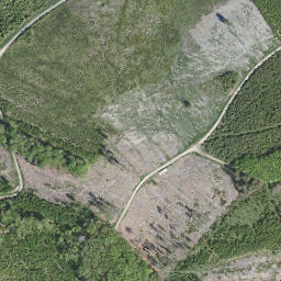 Satellite imagery of Beulberg, DE