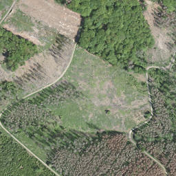 Satellite imagery of Beulberg, DE
