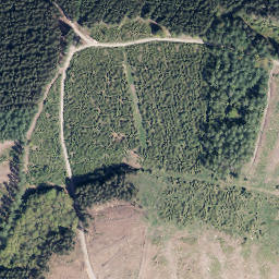 Satellite imagery of Vogelsang, DE