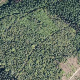 Satellite imagery of Wolfshorn, DE