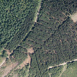 Satellite imagery of Wolfshorn, DE