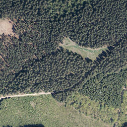 Satellite imagery of Wolfshorn, DE