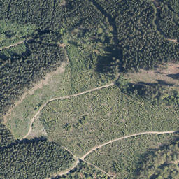 Satellite imagery of Ellenborn, DE