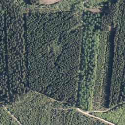 Satellite imagery of Ellenborn, DE