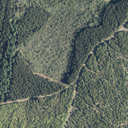 Satellite imagery of Schmallenberg, DE