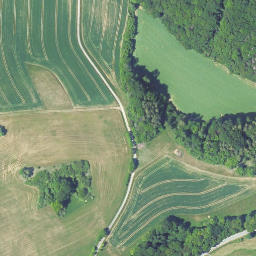 Satellite imagery of Schlechtenberg, DE