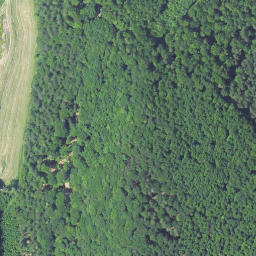 Satellite imagery of Buchberg, DE