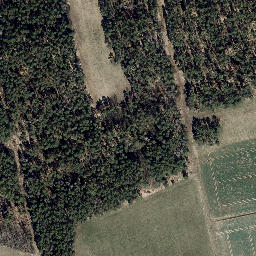 Satellite imagery of Mihlberg, DE