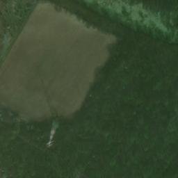 Satelita