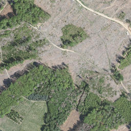 Satellite imagery of Lümer, DE