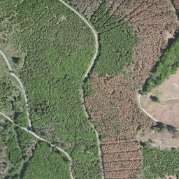 Satellite imagery of Beulberg, DE