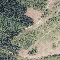 Satellite imagery of Wolfshorn, DE