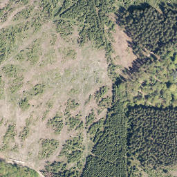 Satellite imagery of Wolfshorn, DE