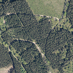Satellite imagery of Wolfshorn, DE