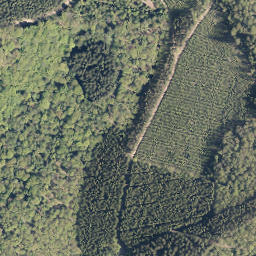 Satellite imagery of Ellenborn, DE