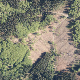 Satellite imagery of Bilsburg, DE