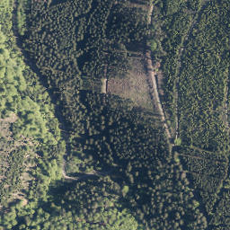 Satellite imagery of Burg, DE
