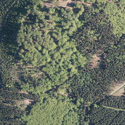 Satellite imagery of Burg, DE