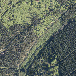 Satellite imagery of Burg, DE