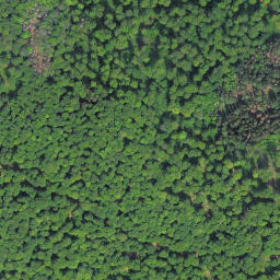 Satellite imagery of Pickelberg, DE