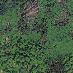 Satellite imagery of Kleine Steinritsche, DE