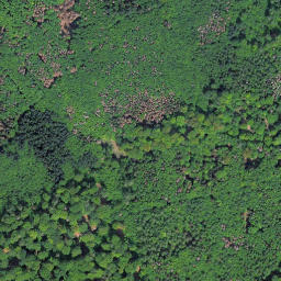 Satellite imagery of Kleine Steinritsche, DE