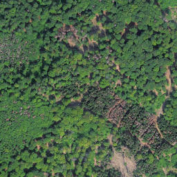 Satellite imagery of Kleine Steinritsche, DE