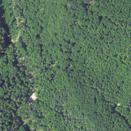 Satellite imagery of Buchberg, DE