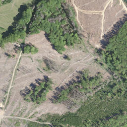 Satellite imagery of Lümer, DE