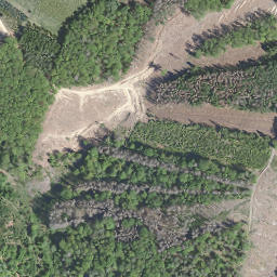 Satellite imagery of Lümer, DE