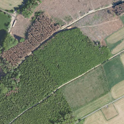 Satellite imagery of Petersberg, DE