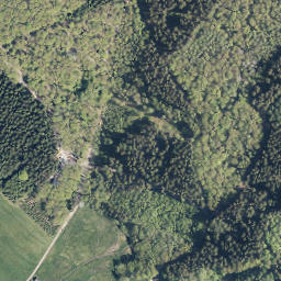 Satellite imagery of Ellenborn, DE
